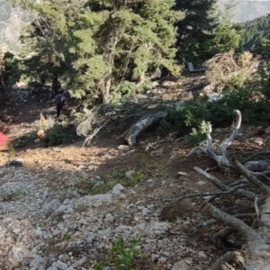 adanada otomobil ucuruma yuvarlandi iki olu uErIhYgk