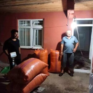 alaplida ilk findik alimi gerceklesti Ec99VWwk