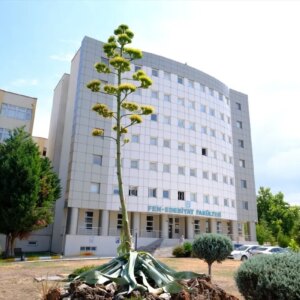 baunde 20 yil sonra cicek acan agave YPMlGrMp