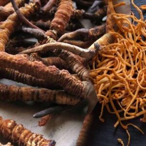 olu tirtilin basindan filizlenerek yeryuzune cikiyor kilosu 5 milyon tlyi bulan astronomik rakamlara satiliyor BLqjJtzF