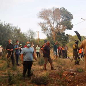 tarihlerindeki en buyuk orman yanginlari ispanya ve portekiz alevlere teslim yrpkxilW