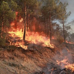 tokat gij gij tepesinde orman yangini kontrol altina alindi jybzhHql