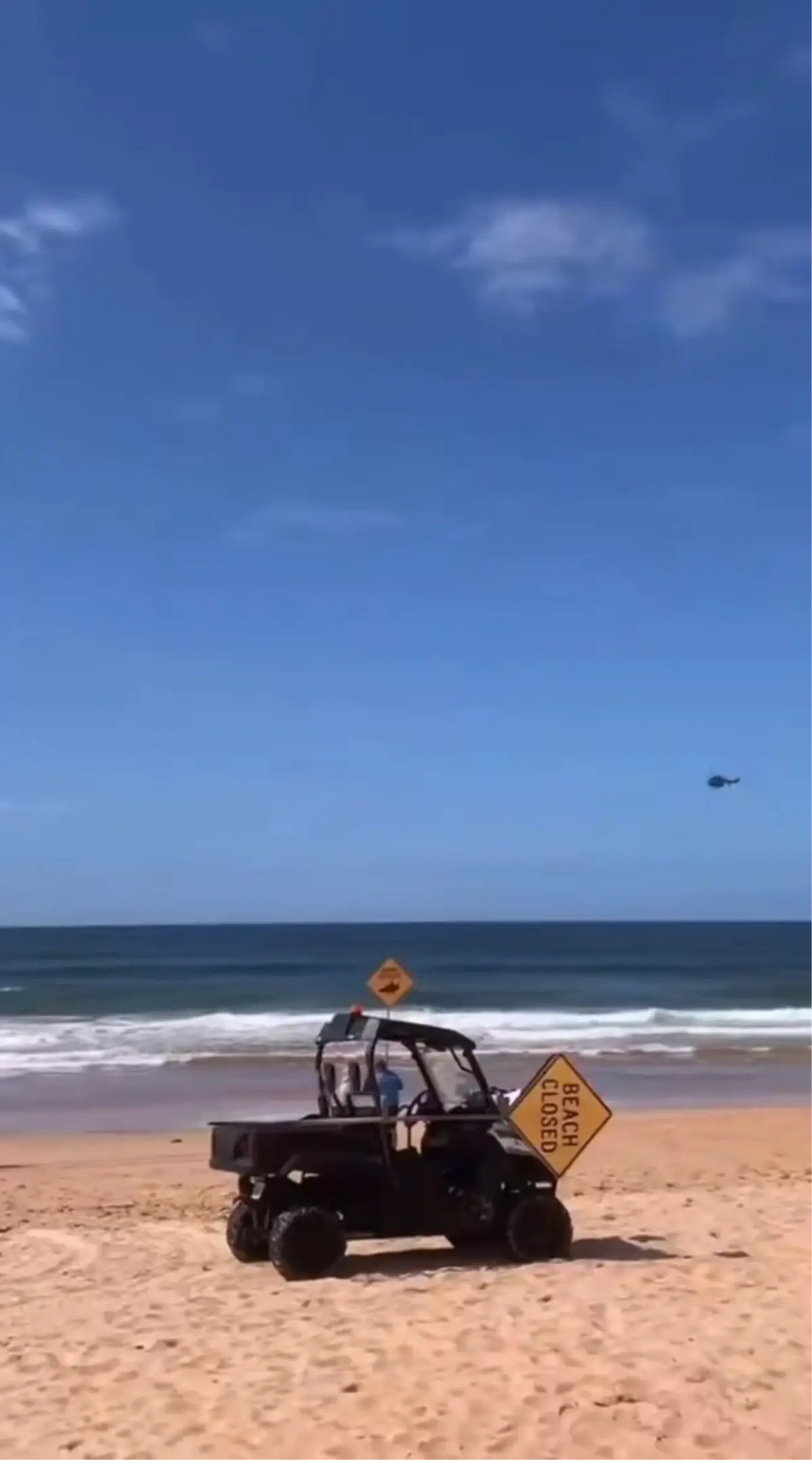 avustralyada kopek baligi saldirisi sorfcu hayatini kaybetti pBuOnSvh