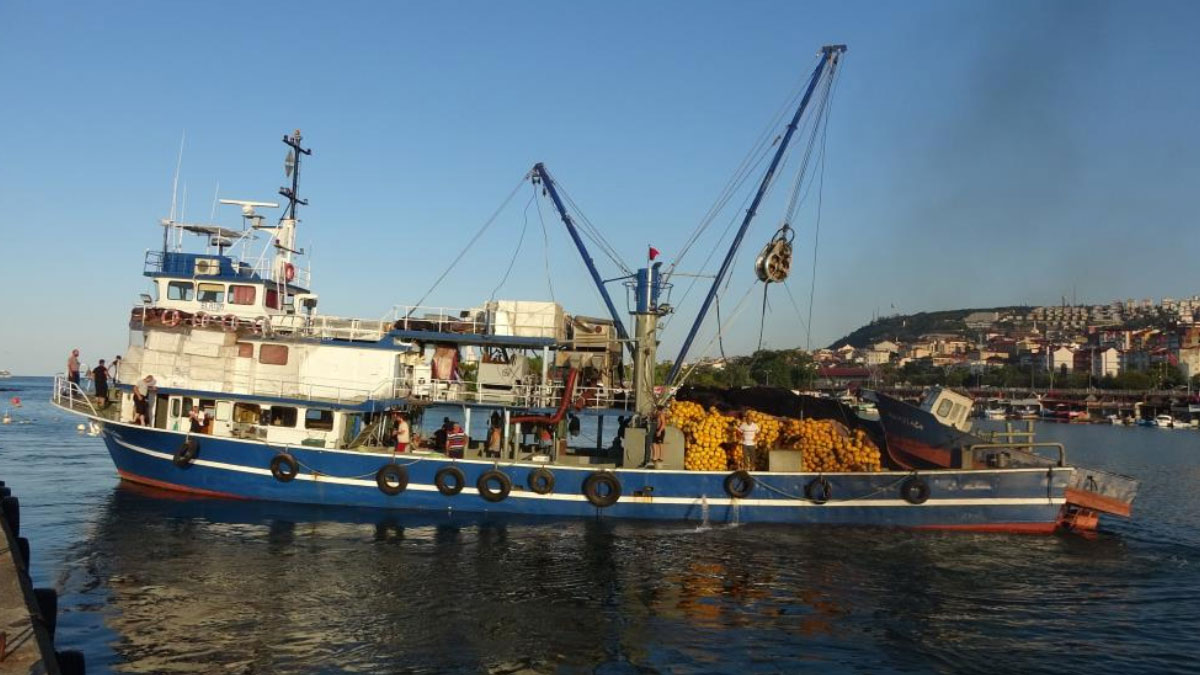 balikcilarda hamsi endisesi turk karasularini erken terk edebilir QucxmnuU