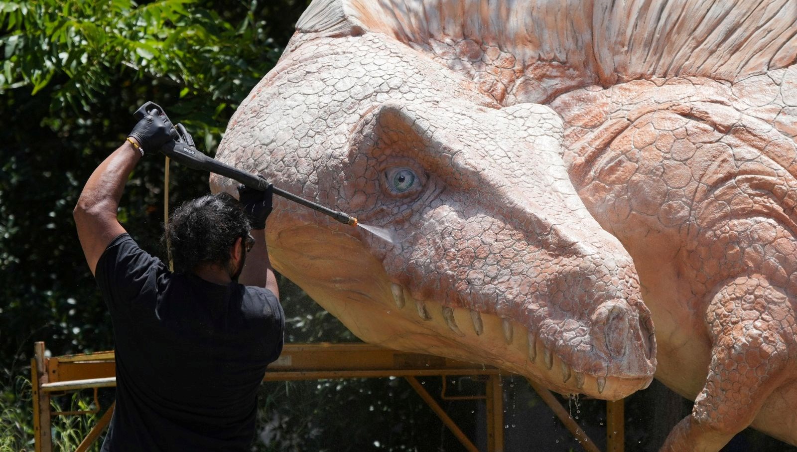 bilim insanlari yeni bir dinozor turu kesfettisonlokmasi ortaya cikti CFu3N546