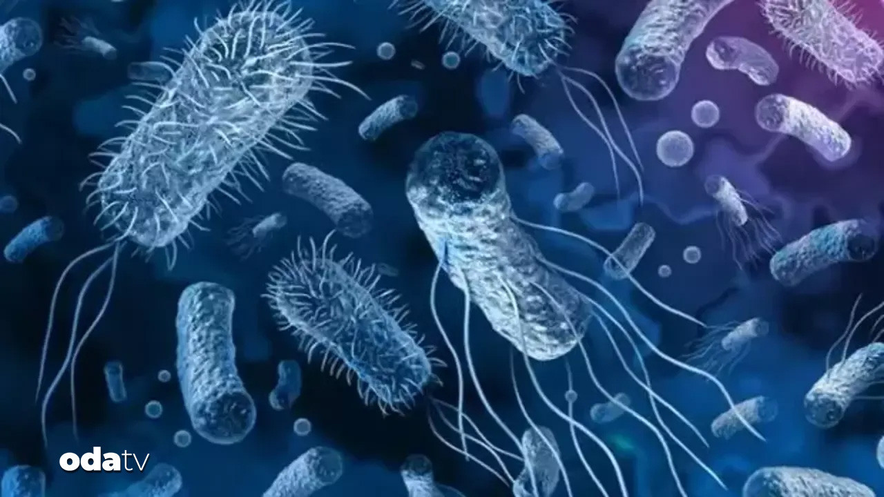 dsoden kolera alarmi vakalar artiyor BHu4H6sN