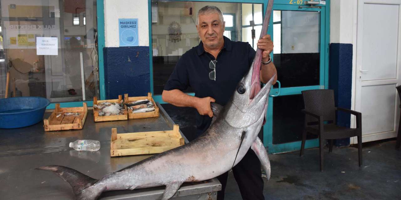 egede cikan baliklar soke etti balikcilar saskina dondu UrNzgd3Q