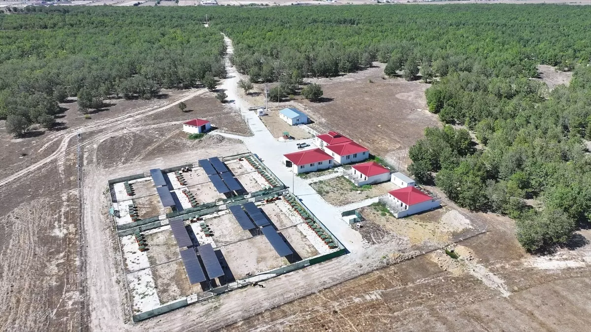 kapakliya dogal yasam alani ruhsati 9gkzYbnM