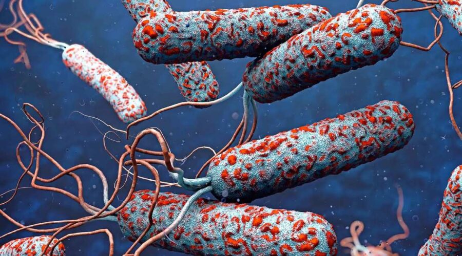 salginda 4738 kisi oldu dsoden uyari Gx2pguAt