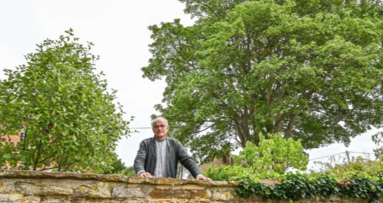 tum bu agac icin koy seferber oldu cok degerli XZIe6gHW