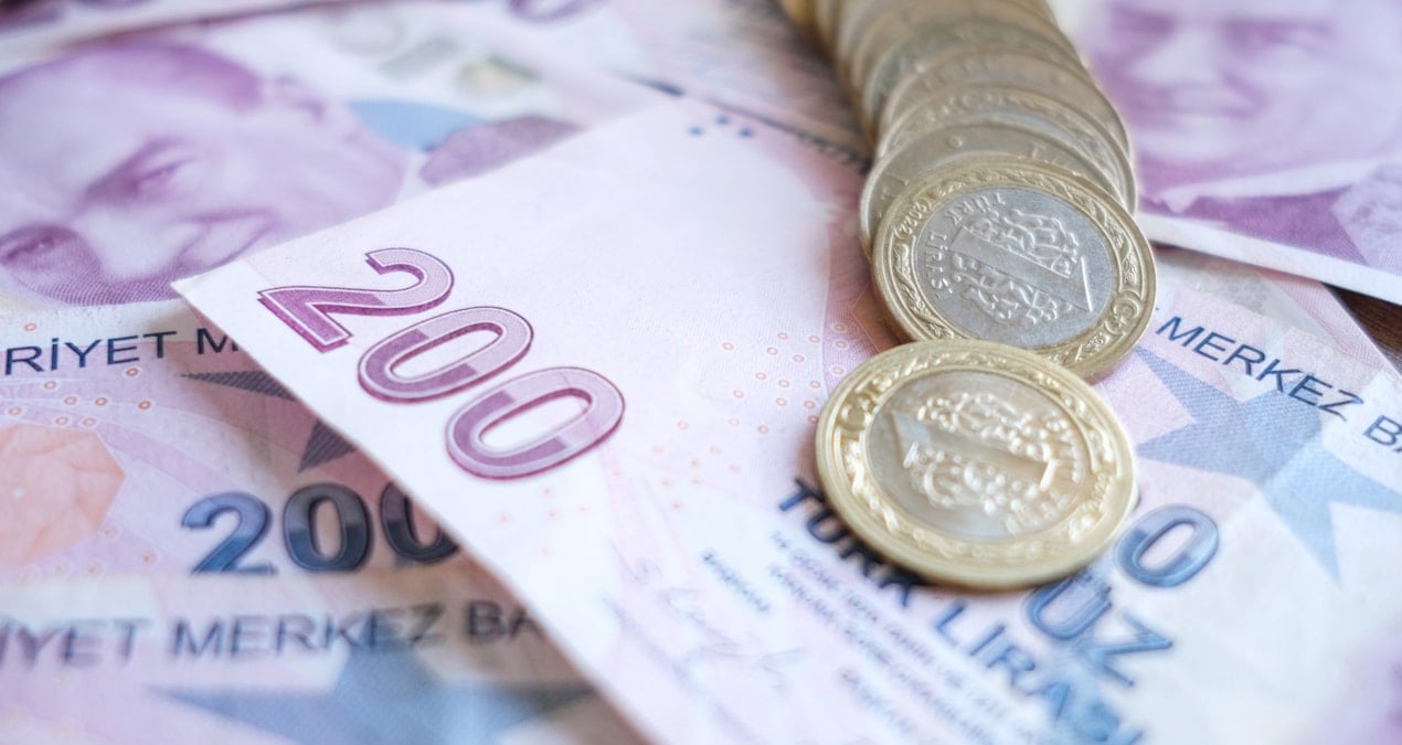 turk lirasinin degeri agustosta artti ht9vgsaG