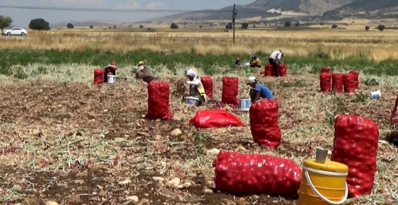 uygun fiyati duyan akin etti 3 tlye satiliyor y43sZ67T