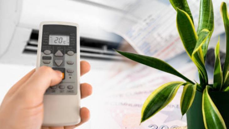 ev bitkileriyle elektrik tasarrufu klima kullanimi azaliyor sicaklik sabit kaliyor VThFGTZu.jpg