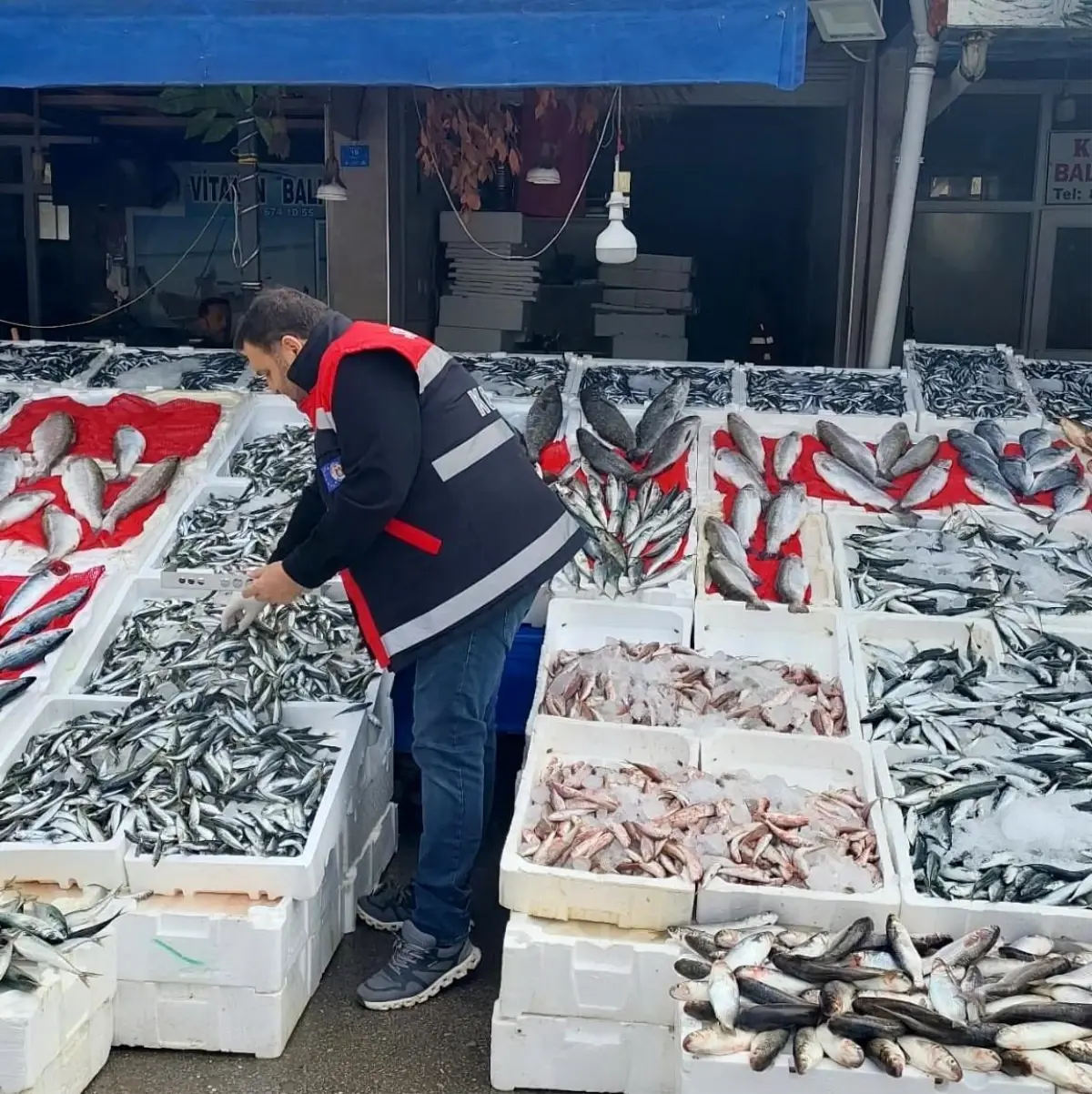 samsunda balikci esnaflarina denetim yapildi xV5dUfNu