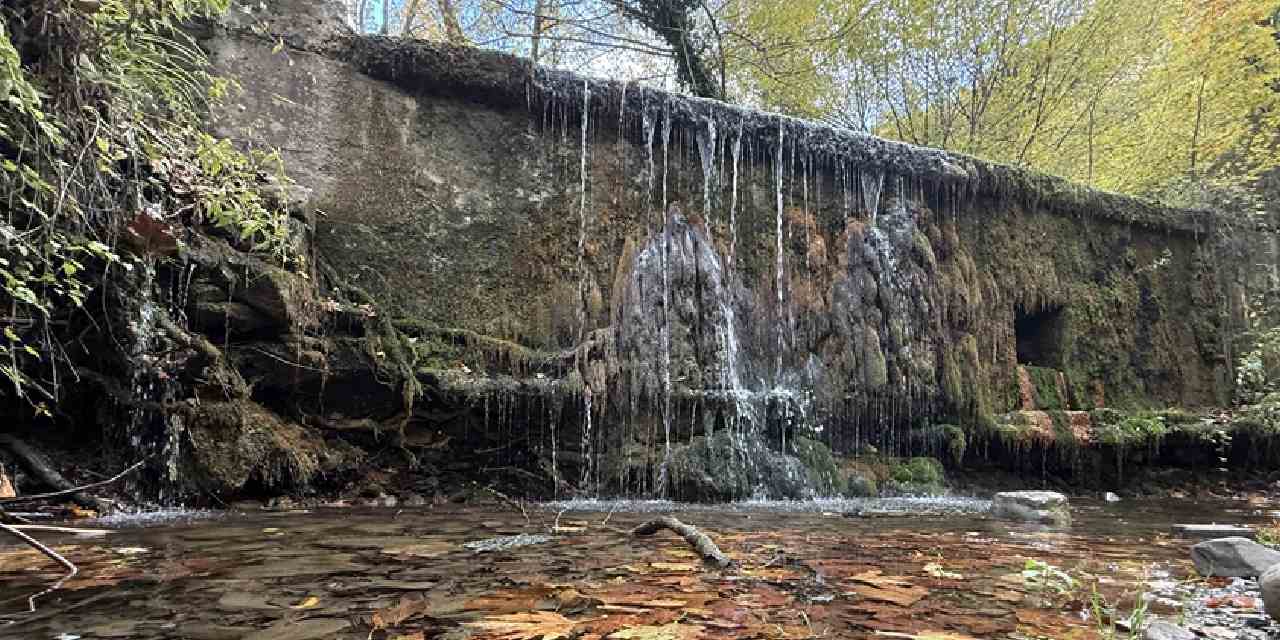 sonbahar renklerine burunen ormanlar doga tutkunlarini bekliyor Jc9tKF8F.jpg