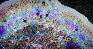 insan-vucudunda-sasirtan-kesif-hucre-ici-ruzgar-sistemi-ortaya-cikti-CzKfPQbF