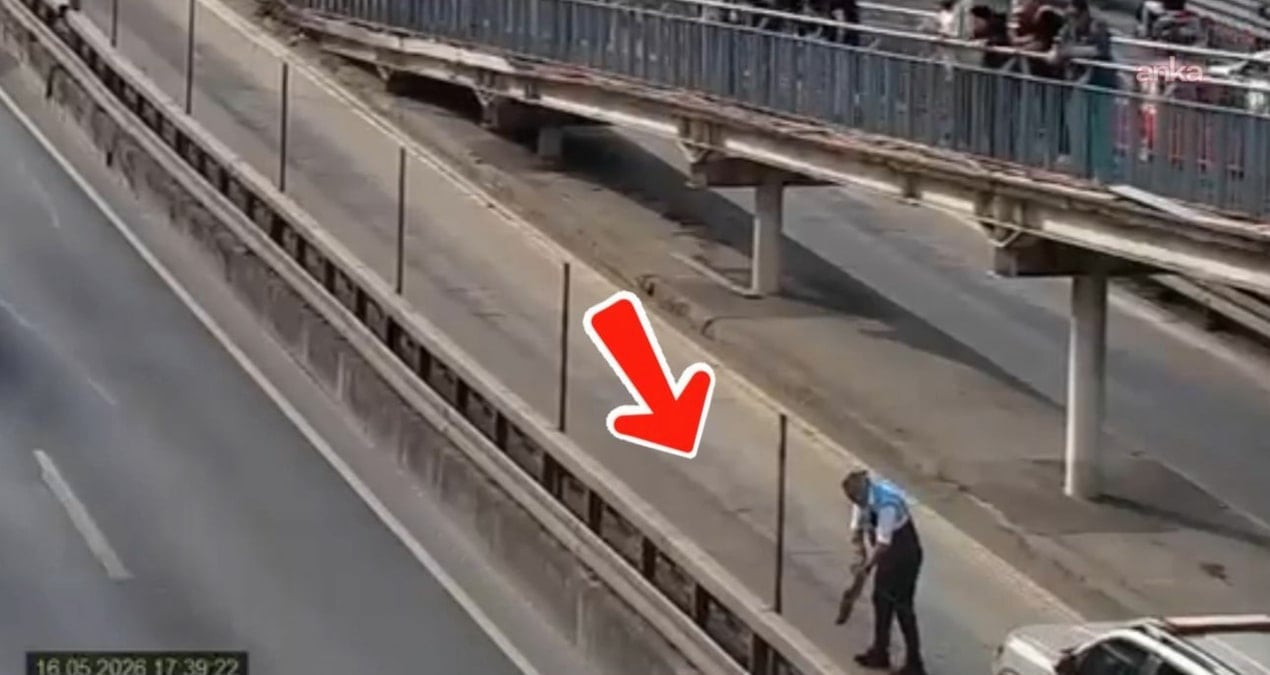 Metrobüs Hattında Yavru Kedilere Kurtarma Operasyonu